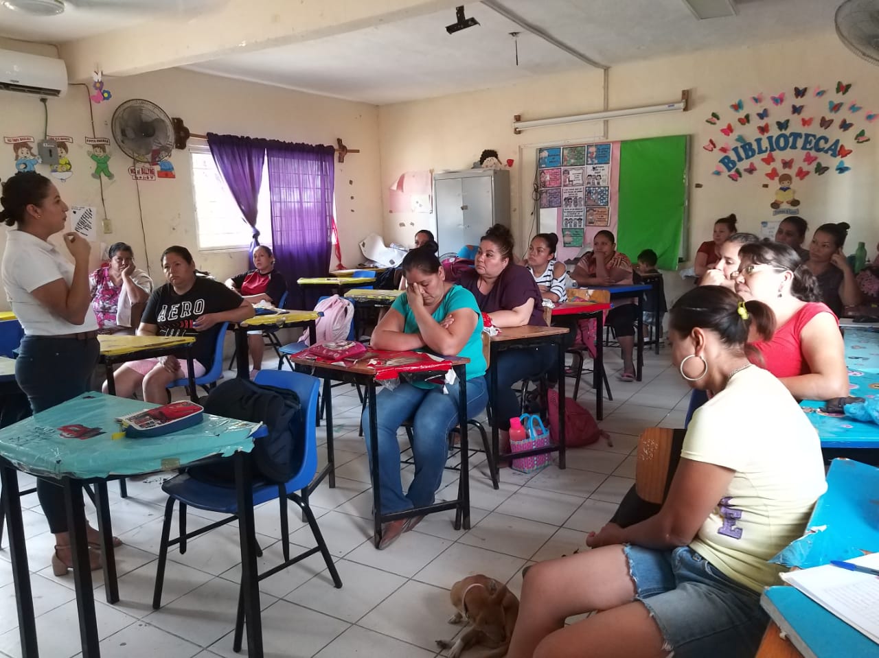 instancia 6 de junio 1